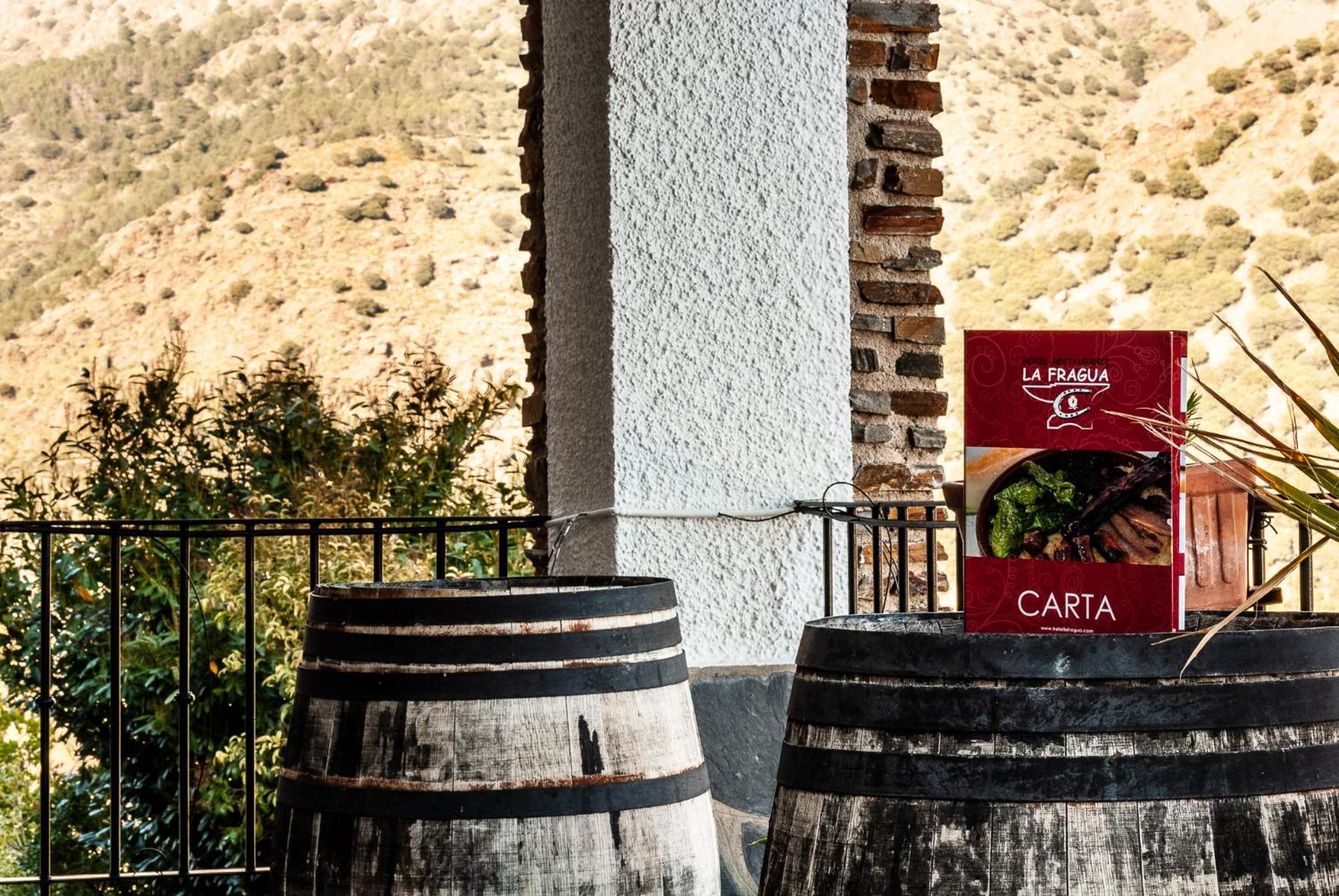 Hotel La Fragua II Trevélez エクステリア 写真